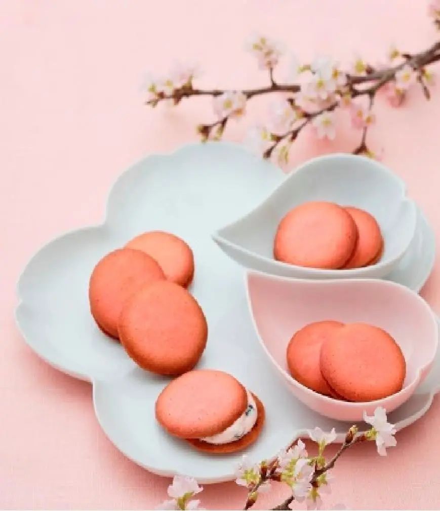 1669187676190265.jpg 0028.jpg